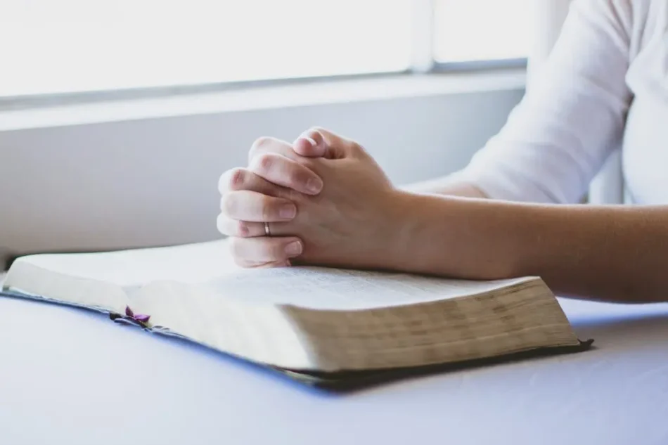 The Wisdom of Scripture