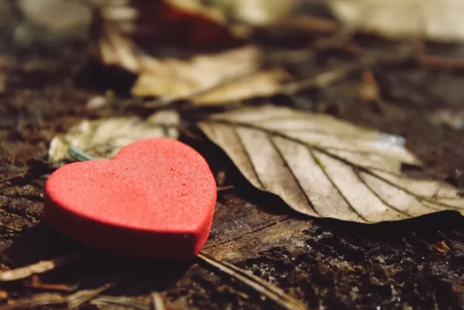 A Heart without holy fear