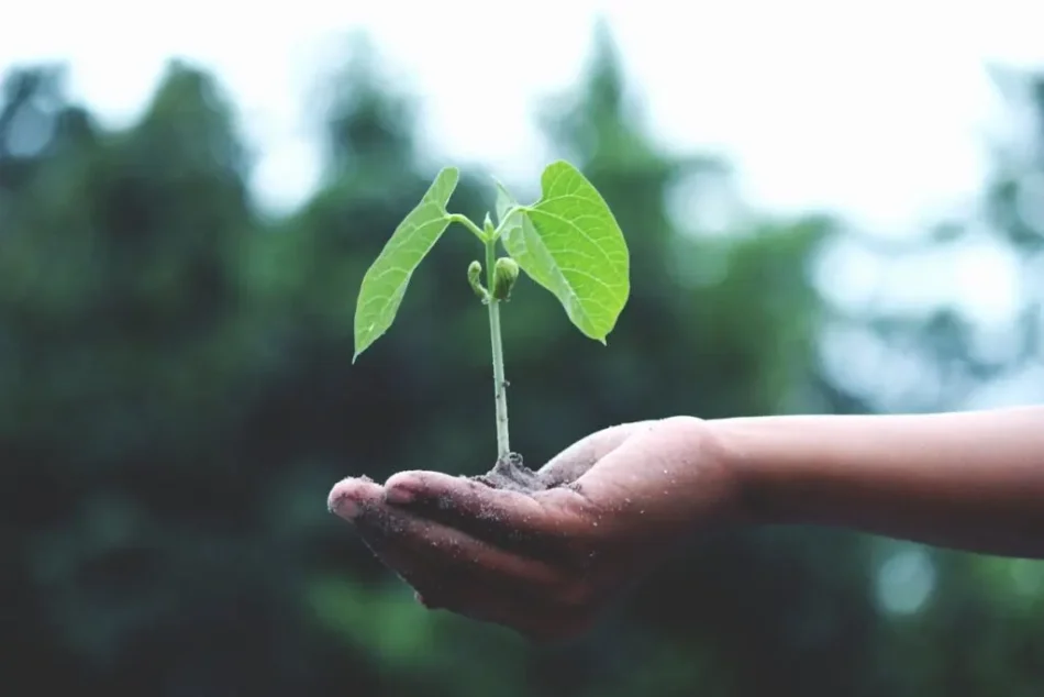 Charlie Kirk Legacy Lives On: Seed of Faith